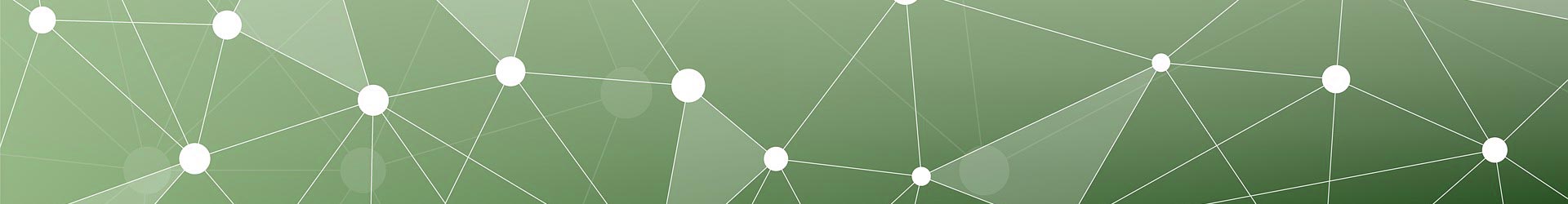 Our Portfolio